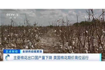 央視調(diào)查：棉花大漲！服裝訂單量下滑，外貿(mào)企業(yè)面臨“三座大山”
